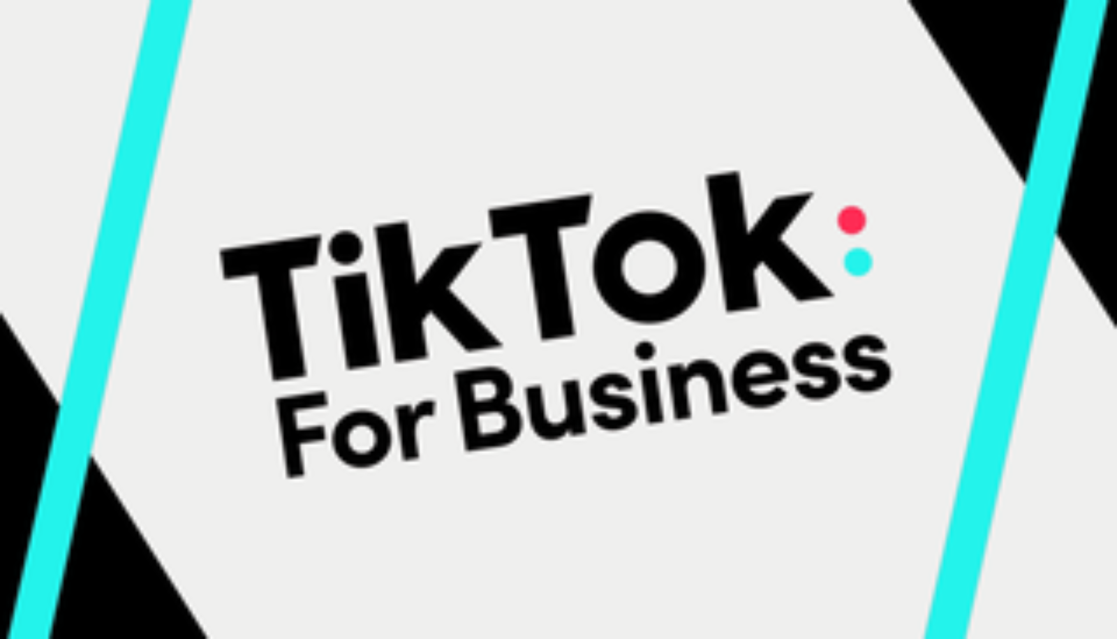 How to Use Tiktok for Business